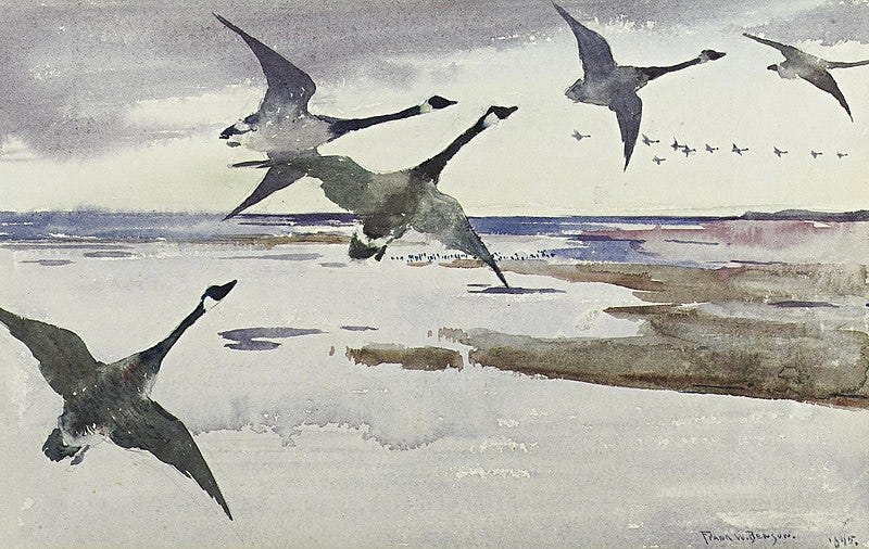 File:Canadian Geese watercolor 1895 Frank Weston Benson.jpg File:Canadian Geese watercolor 1895 Frank Weston Benson.jpg