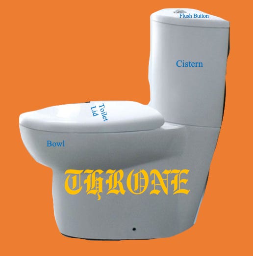 What is a toilet? [Part One in SERIES: From Flusher to Toilet Connoisseur]