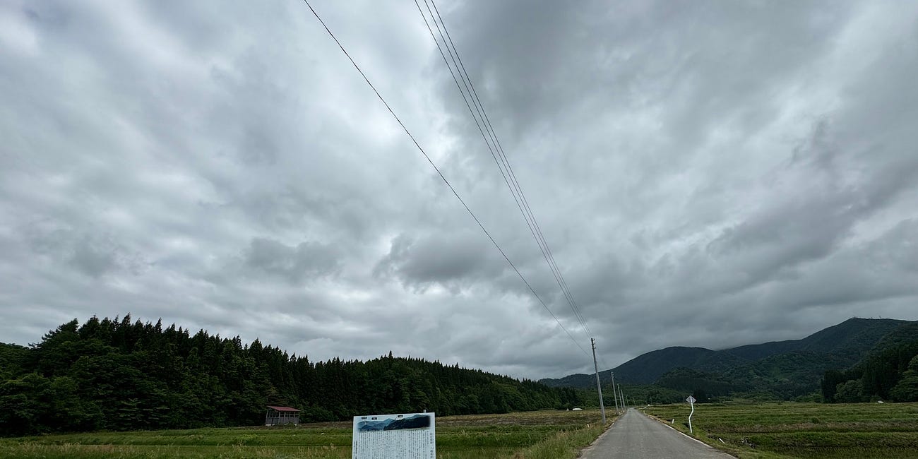 Abe Shinzo, Kurosawa Akira, The Kami of War, and a flock of geese?