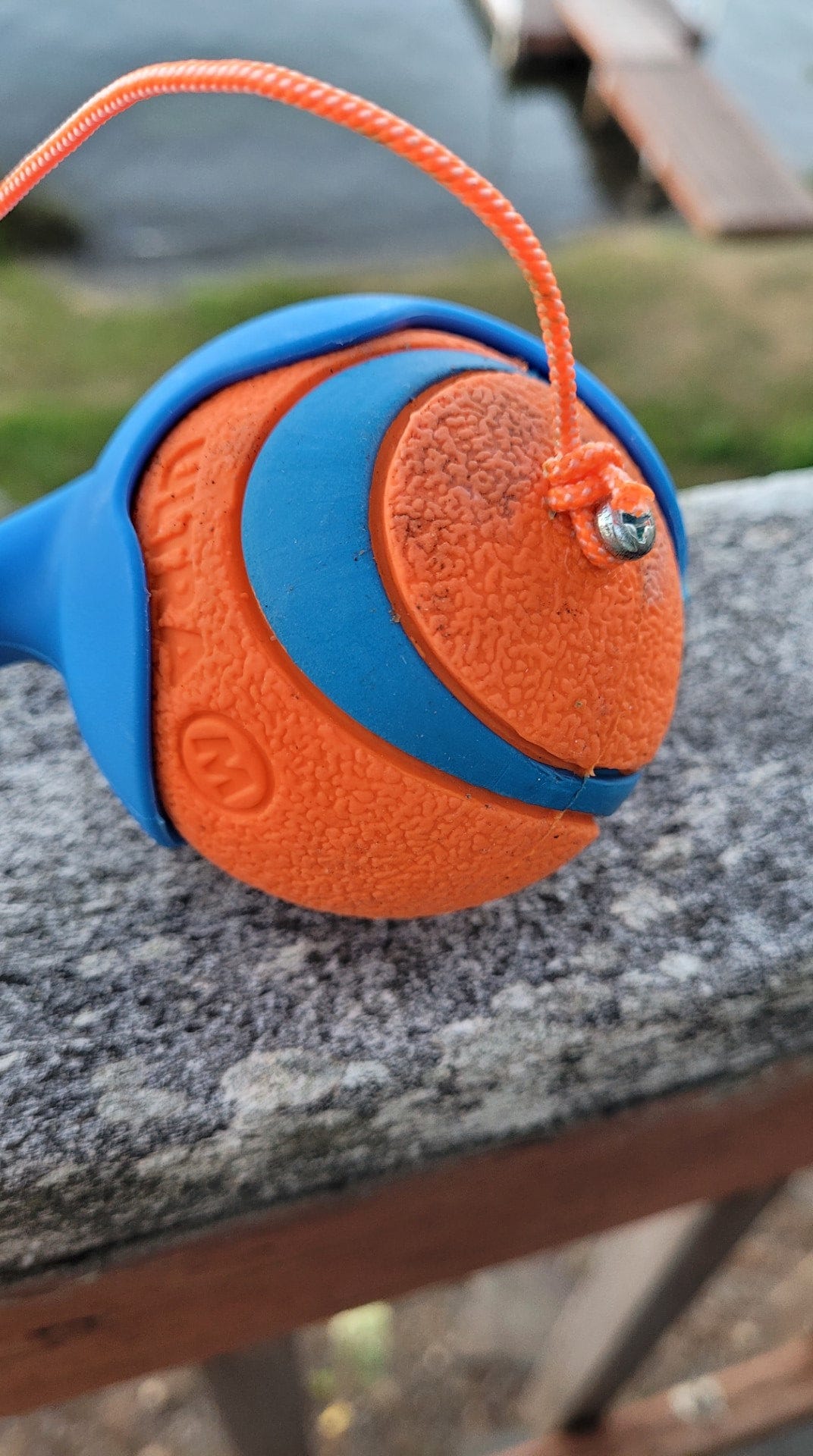 Chuckit! ball with line attached