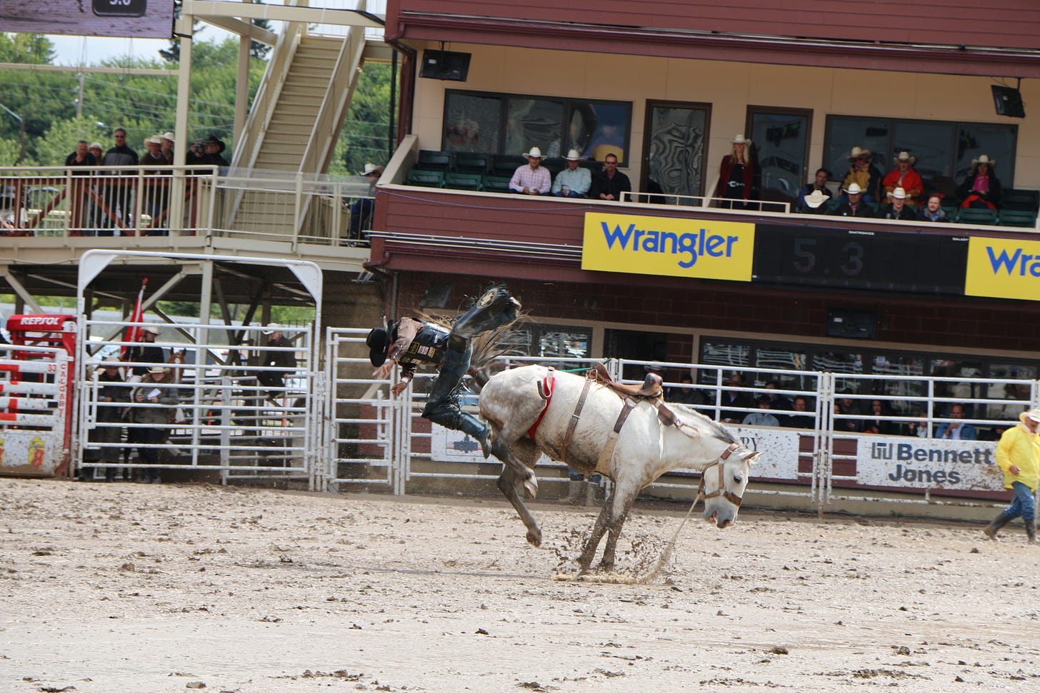 Bucked off at calgary stampede