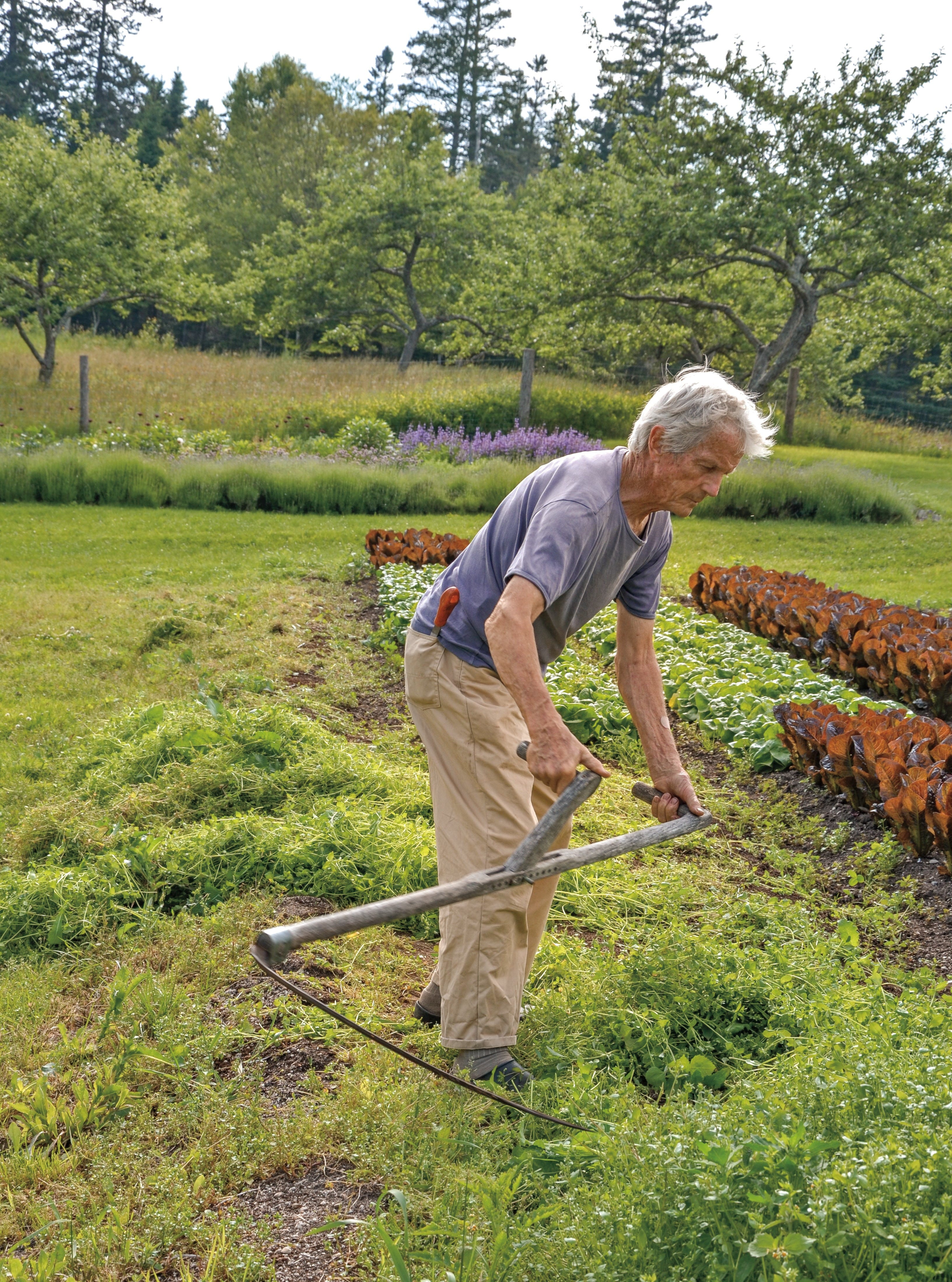 How to Grow Really Delicious Vegetables - by Edward Behr, image size:3264x4394