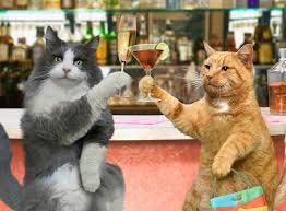 38 Animal Walks Into A Bar Jokes - Thrillist