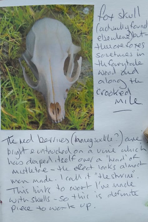 Drawings, watercolours, photos and written notes.