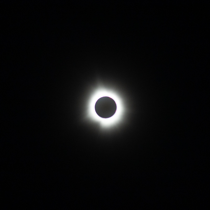 Phases of the Total Solar Eclipse 2024 from Sullivan, Indiana