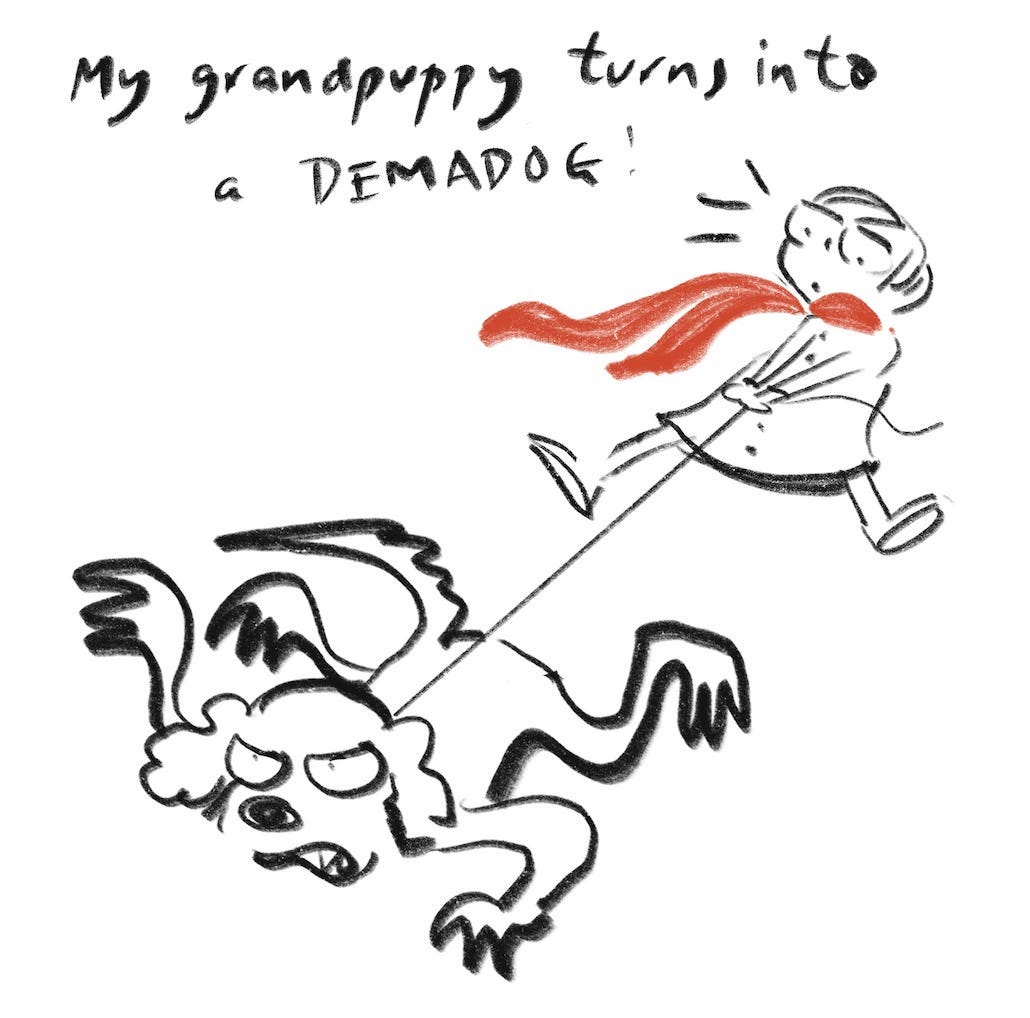"My grandpuppy turns into a demadog" Spaniel turns into a monster at the end of the leash. Candy looks horrified
