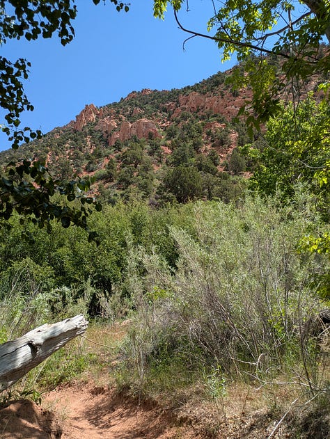 Two photos of views from a hike, with green grass and shrubs, a few evergreen trees, and reddish rock mountains in the background; one photo of a small, round cactus with three bright pink blooms on top.