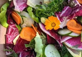 Chapter 4: The More Colors That You Eat