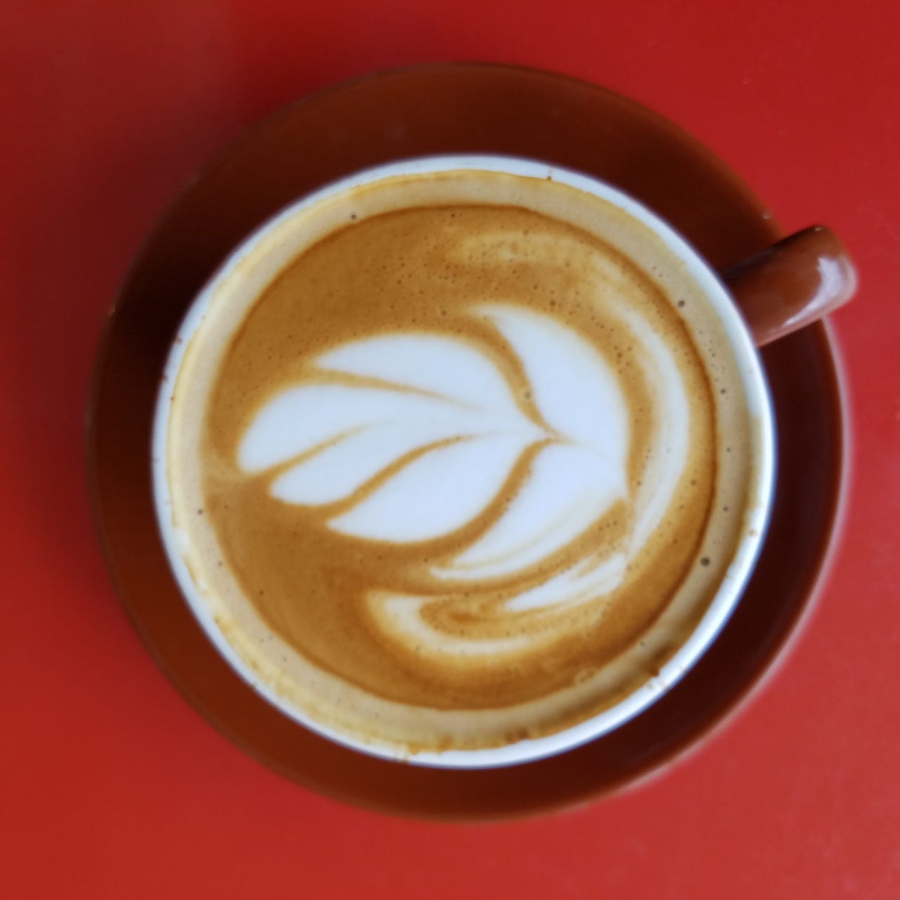 Writing Life and Light