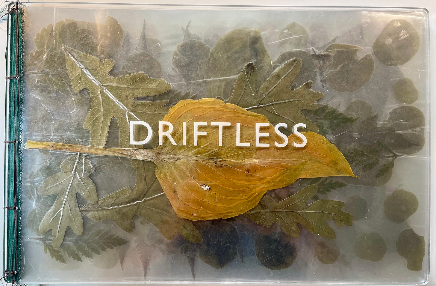 IMG_1935.heic IMG_1935.heic