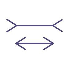 Müller-Lyer - The Illusions Index