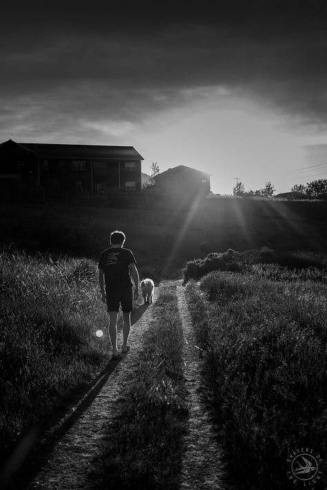 #fuji #fujix100f #fujifilm #filmy #tylerknott #tylerknottgregson #chasersofthelight