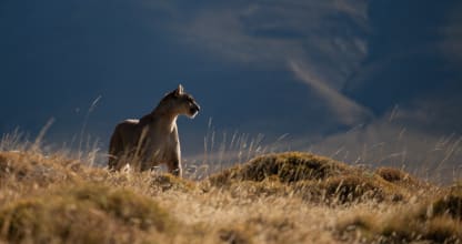 Exploring Nature Photography