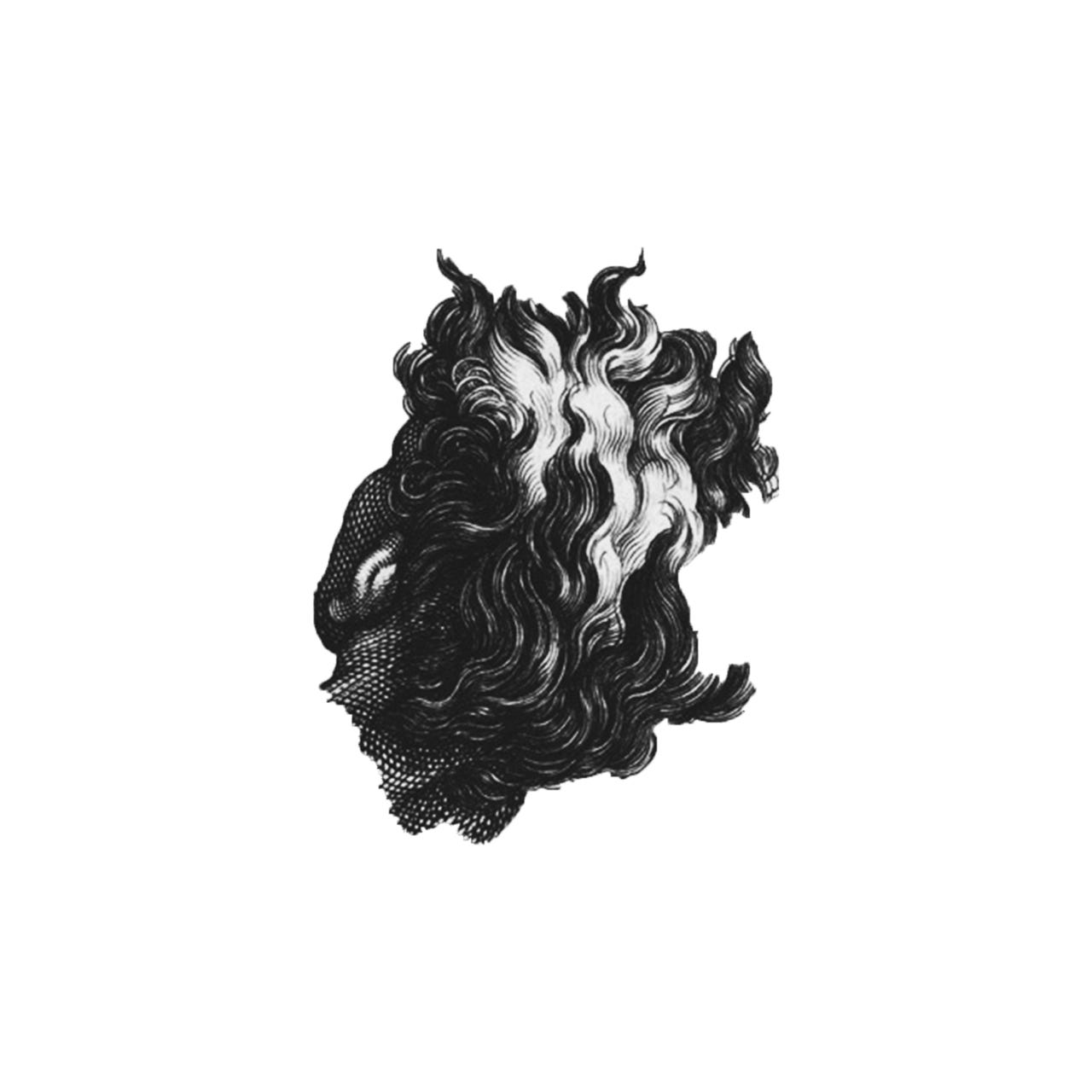 Substack profile picture for @zaro
