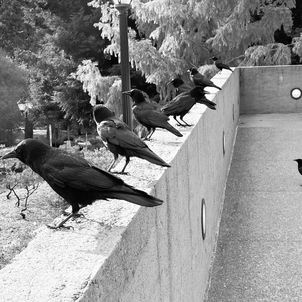 The Eye Is The First Circle