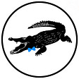 BowTiedCrocodile's avatar
