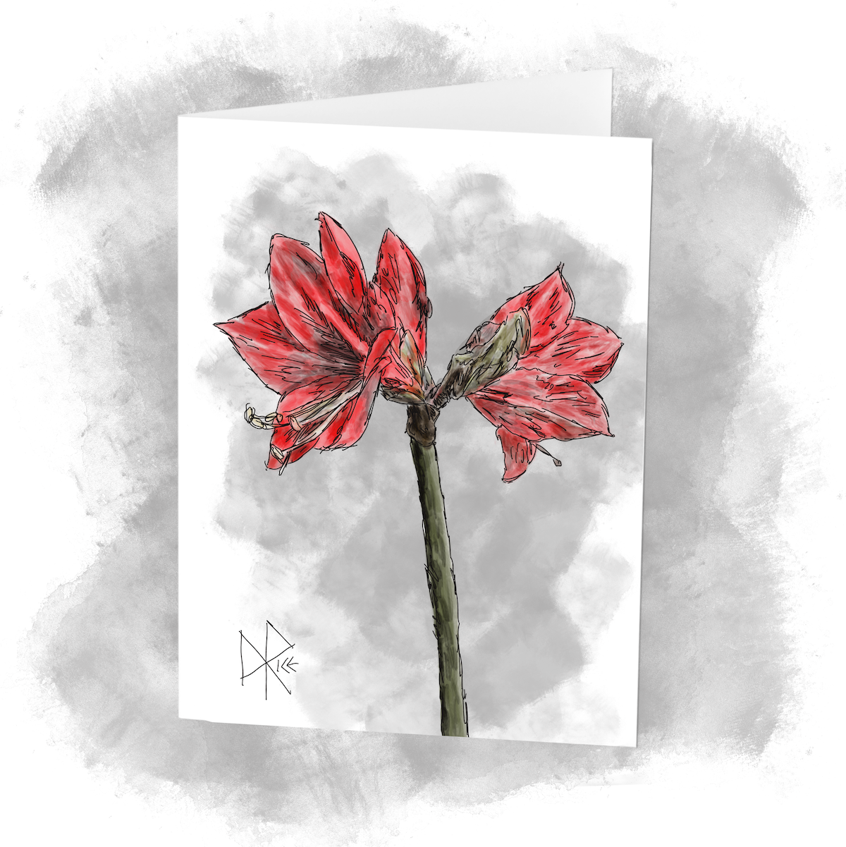 Hippeastrum “Amaryllis” in bloom. Sketch art by Don Rice. Hippeastrum “Amaryllis” in bloom. Sketch art by Don Rice.