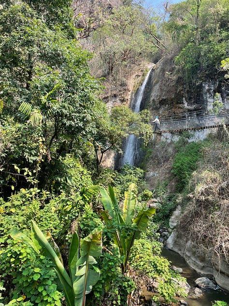 Flowers and waterfall