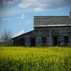 Everything Will Be Okay—Just Breathe