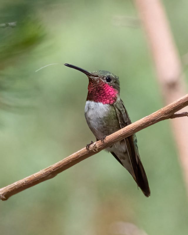 20250721-MillerCanyon-197-Edit-2.jpg 20250721-MillerCanyon-197-Edit-2.jpg