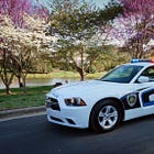 Η αστυνόμευση είναι πια καιρός να αποκρατικοποιηθεί (+video)