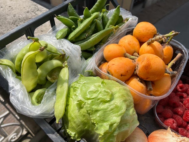 top L-R: pomegranate blossom, lake como sunrise, early persimmons, hydrangea wall, in season loquats, lettuce and 2 kinds of peas, Eddy recovering well from broken leg!