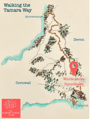Map of the Cornwall Devon Border showing the Tamara Way and Gunnislake