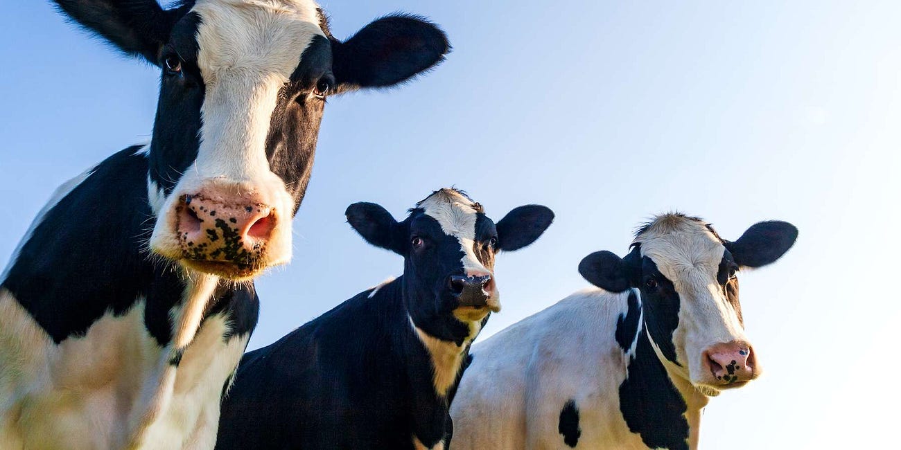Agriculture : de l'eau dans le gaz (à effet de serre)