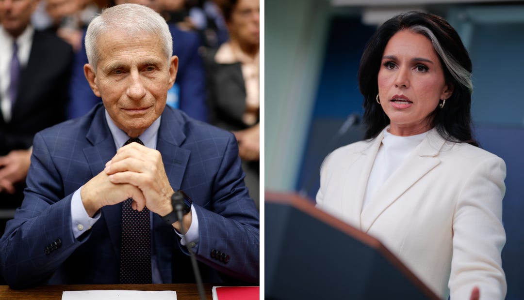Intelligence chief claims Fauci lied; documents show no leak evidence