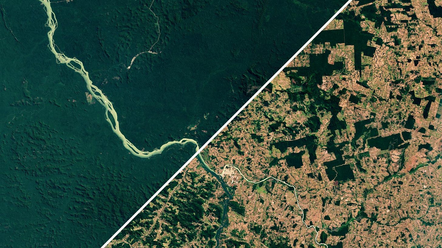 https://cms.qz.com/wp-content/uploads/2019/07/Amazon-deforestation-is-accelerating.jpg?quality=75&strip=all&w=410&h=231