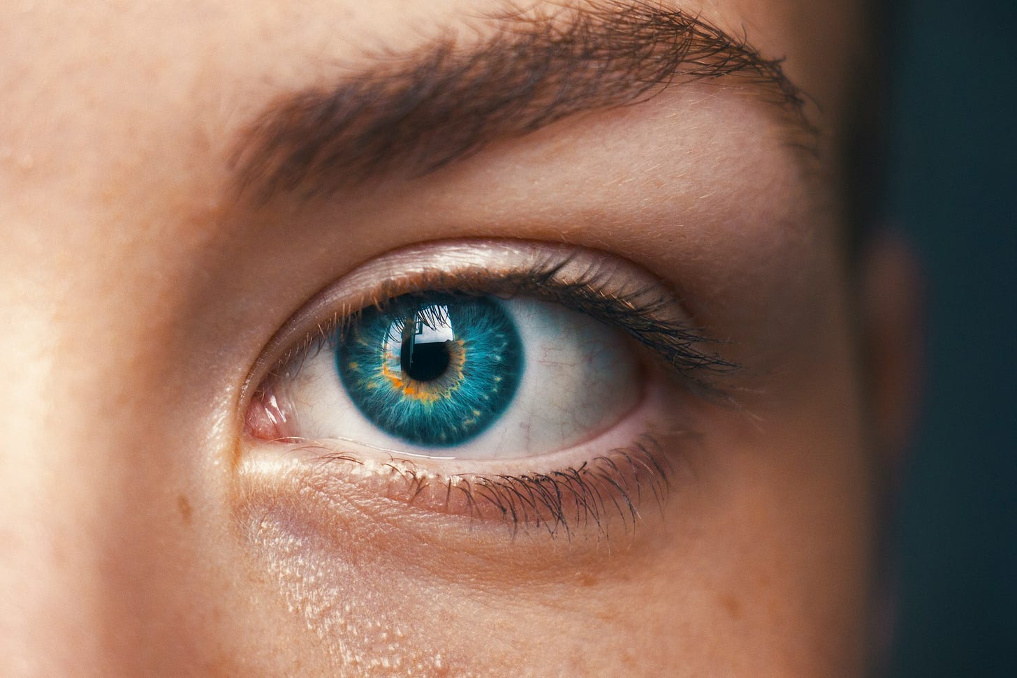 How Curiosity Becomes the Driver towards Emotional Intelligence How Curiosity Becomes the Driver towards Emotional Intelligence