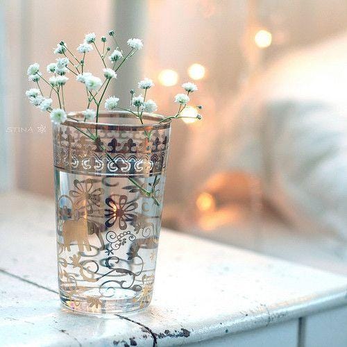 May be an image of baby's-breath May be an image of baby's-breath