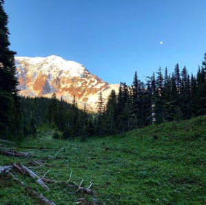 Screen Shot 2019-07-24 at 11.49.00 AM.png