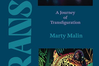 Marty Writes Stories | Substack