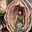 Rachel Ashenden's avatar