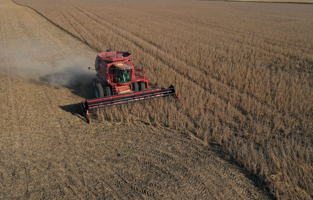 An aerial view from a drone shows a combine being used to harvest soybeans on Oct. 14, 2019, in Rippey, Iowa. (Photo by Joe Raedle/Getty Images) An aerial view from a drone shows a combine being used to harvest soybeans on Oct. 14, 2019, in Rippey, Iowa. (Photo by Joe Raedle/Getty Images)