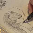 My Illustrative Process