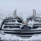 Cold Snap