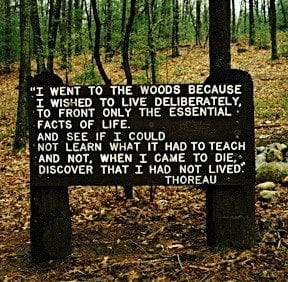 r/QuotesPorn - "I went to the woods because...." - Henry David Thoreau (239x234)