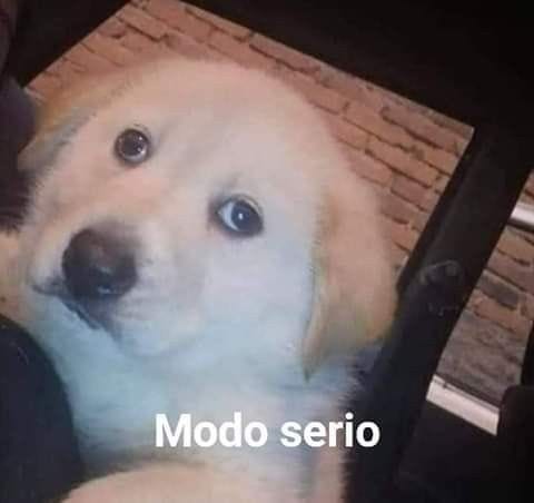 Modo serio