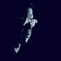 Carr Hagerman's avatar