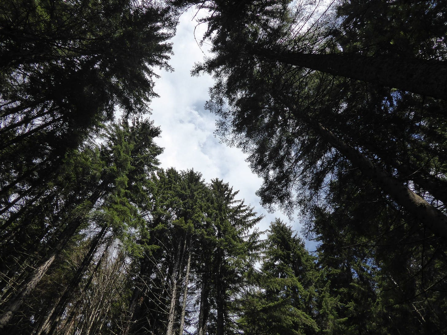 Kranjska Gora & The Julian Alps