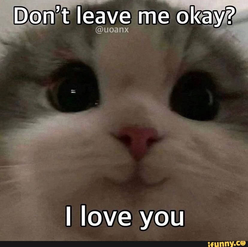 Don't leave me okay? love you - iFunny Brazil