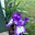 Claudia Roberts's avatar