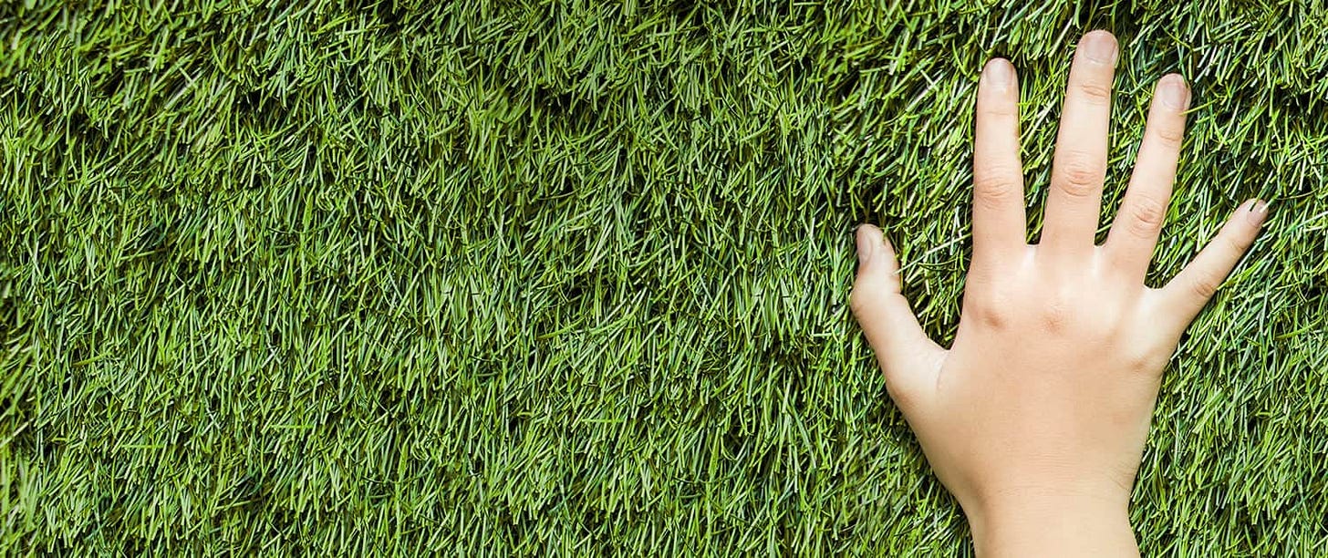 Soft Touch Grass - InfinityGrass