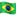 🇧🇷 🇧🇷