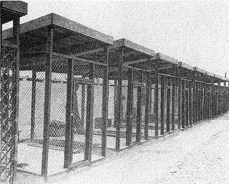 Photo of cage Where Pound Was Imprisoned in Pisa