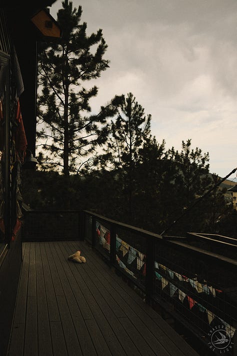 #fuji #fujix100f #fujifilm #filmy #tylerknott #tylerknottgregson #chasersofthelight