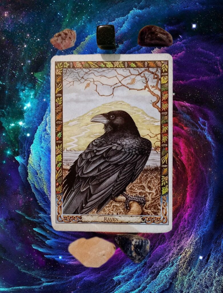 A Message from the Universe, Druid Animal Oracle A Message from the Universe, Druid Animal Oracle