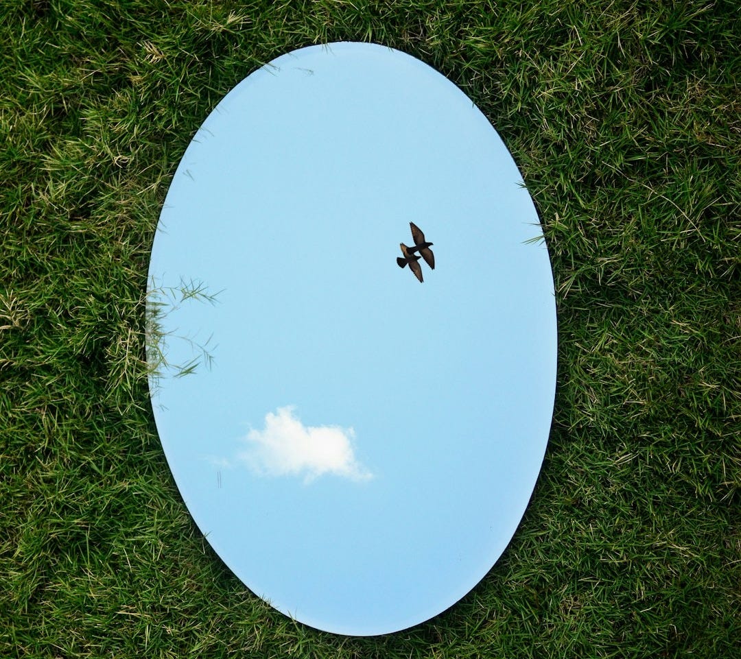 a bird flying in the sky through a circular mirror